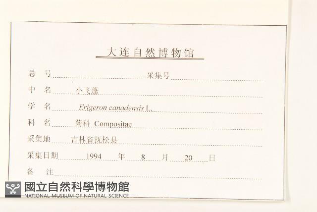 Accession Number:S107345 Collection Image, Figure 3, Total 3 Figures