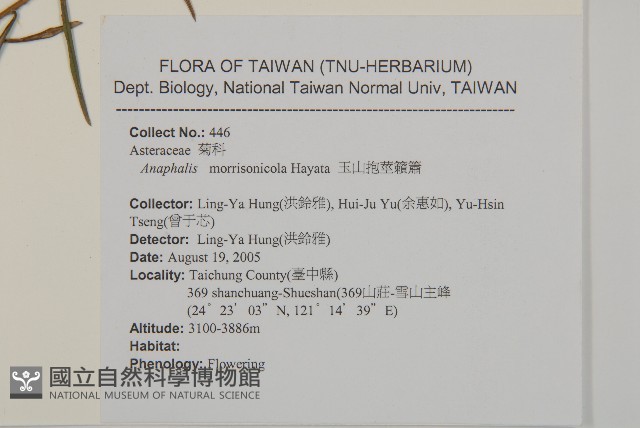 玉山抱莖籟簫藏品圖，第4張
