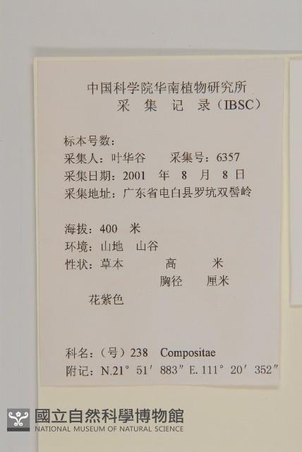 異色獼猴桃藏品圖，第4張