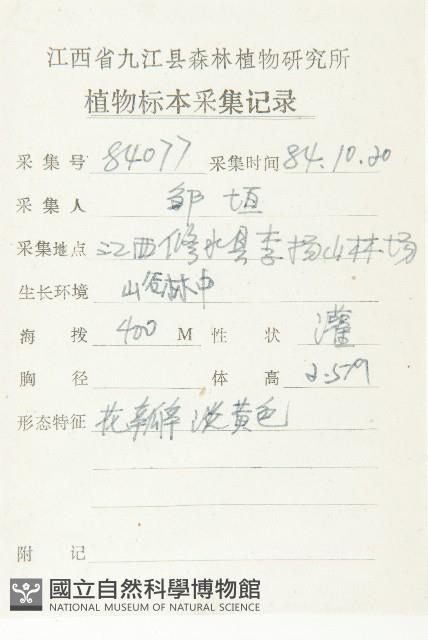 藤胡頹子藏品圖，第4張