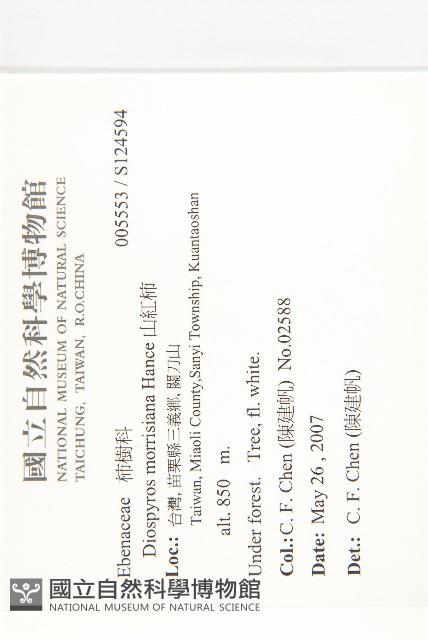 山紅柿藏品圖，第4張