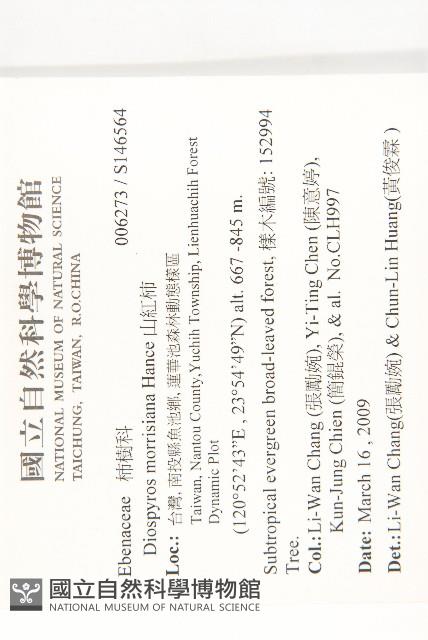 山紅柿藏品圖，第4張