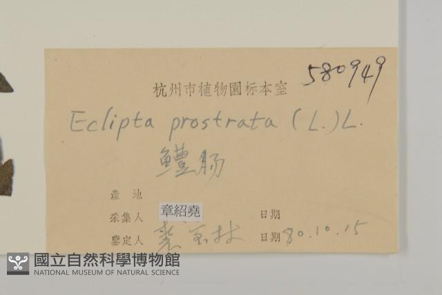 Accession Number:S024644 Collection Image, Figure 3, Total 3 Figures