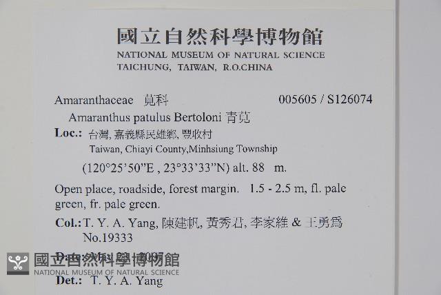 青莧藏品圖，第4張