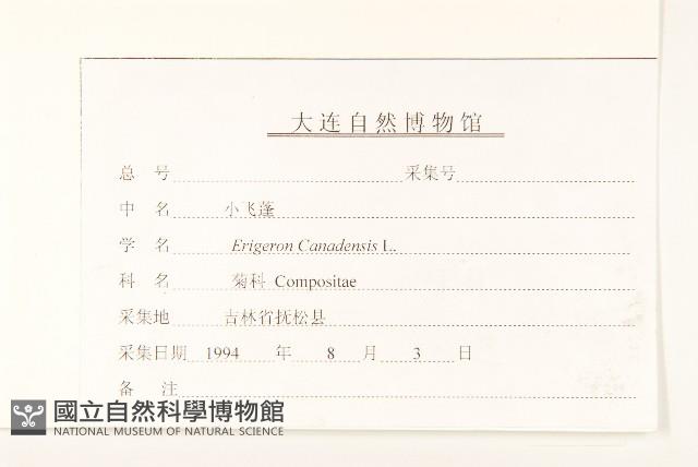 加拿大蓬藏品圖，第3張