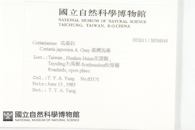 刺莧藏品圖，第7張