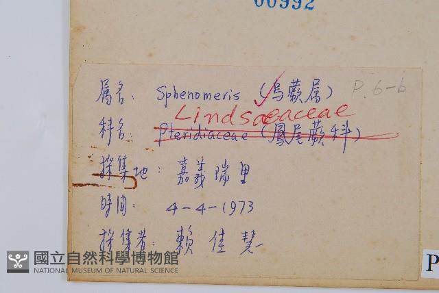 烏蕨藏品圖，第4張