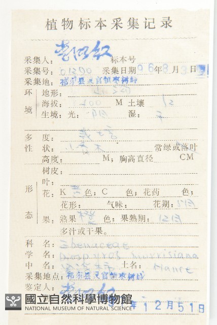 山紅柿藏品圖，第4張