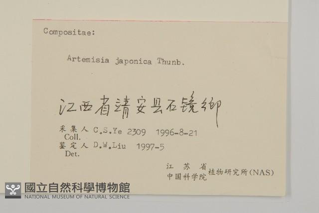 牡蒿藏品圖，第3張