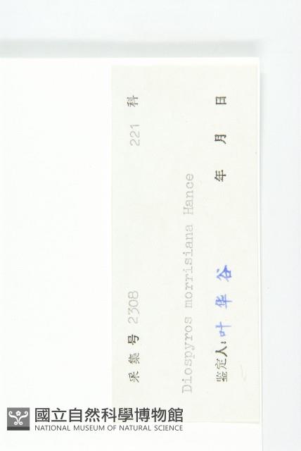 山紅柿藏品圖，第3張