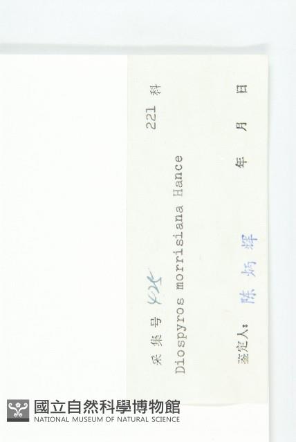 山紅柿藏品圖，第3張