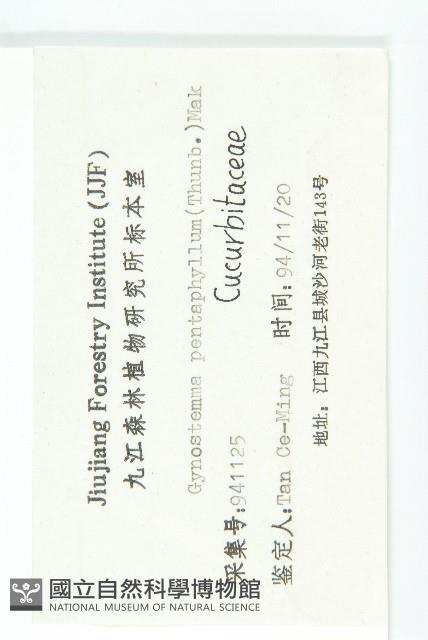 絞股藍藏品圖，第3張