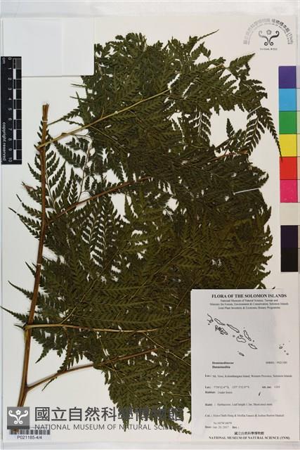 登錄號:P021185藏品圖，第4張