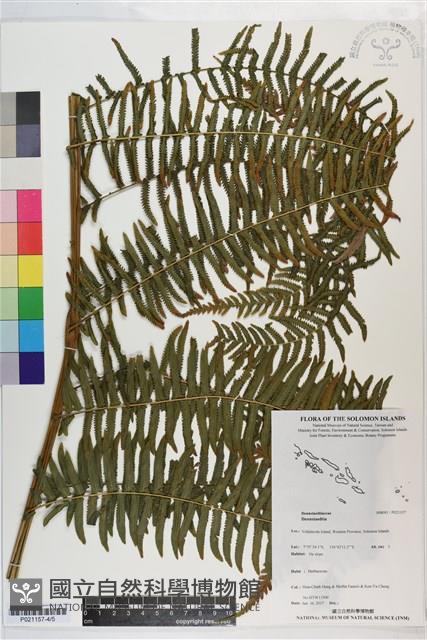 登錄號:P021157藏品圖，第4張