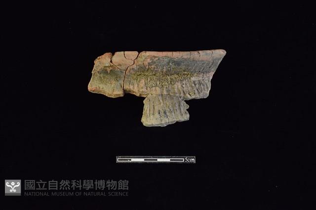 陶罐藏品圖，第1張