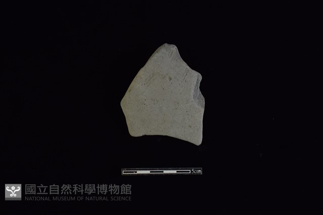 陶片藏品圖，第1張
