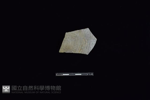 陶片藏品圖，第1張