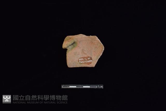 陶片藏品圖，第1張