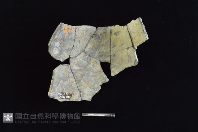 陶片藏品圖，第2張