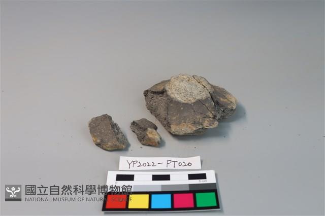 碗/淺盤型陶蓋藏品圖，第2張