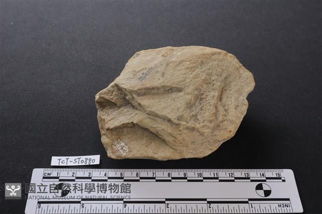 砍砸器藏品圖，第2張