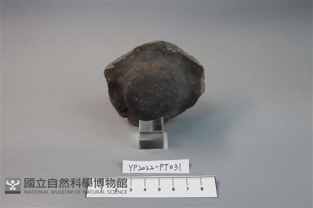 碗/淺盤型陶蓋藏品圖，第2張