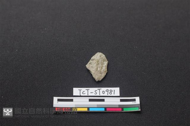 磨製石器藏品圖，第2張