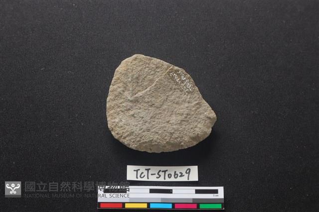 石片器藏品圖，第2張