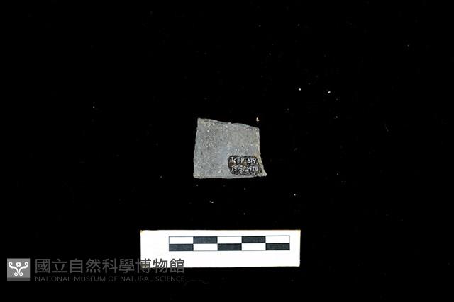 陶片藏品圖，第2張