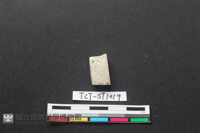 錛鑿形器藏品圖，第2張