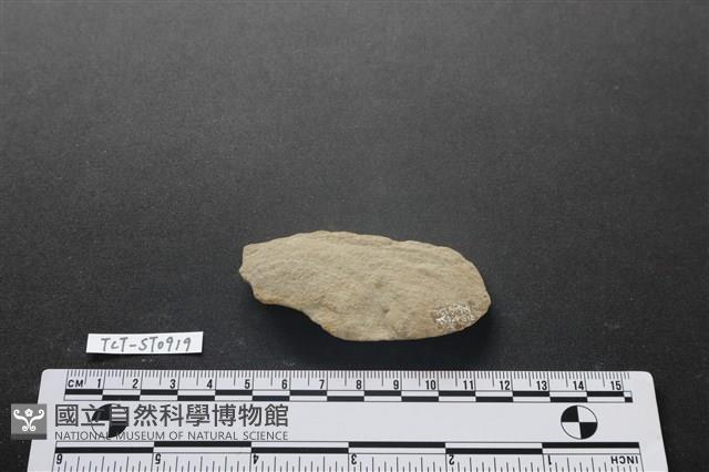 石片器藏品圖，第2張