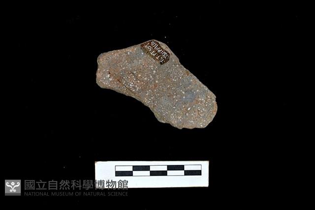 陶片藏品圖，第2張