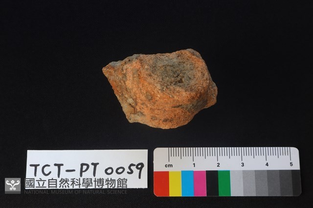 陶蓋鈕藏品圖，第2張