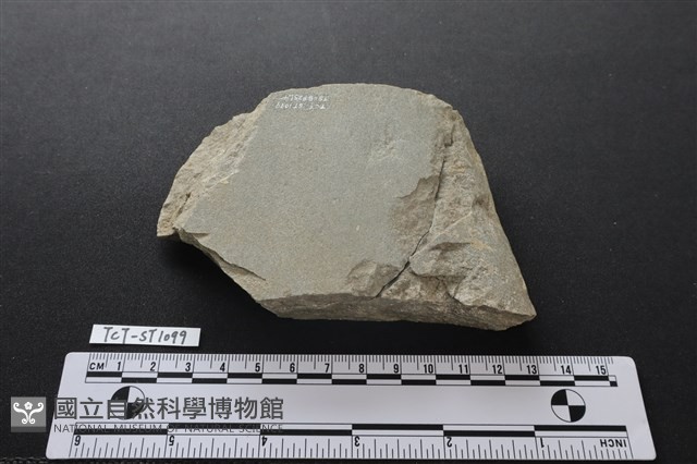 巴圖形器藏品圖，第2張