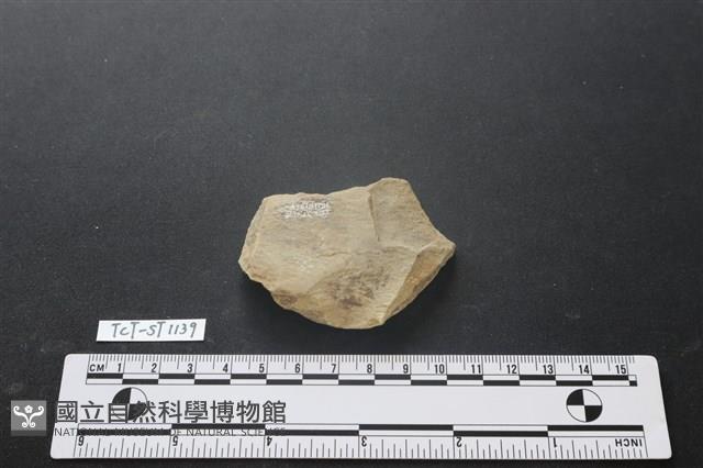 磨製斧鋤形器藏品圖，第2張