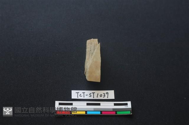 錛鑿形器藏品圖，第2張