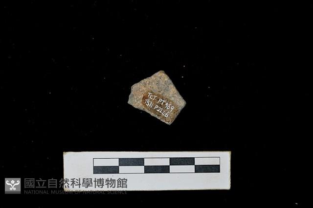 陶片藏品圖，第2張