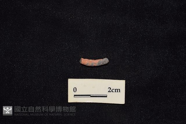 陶環藏品圖，第2張