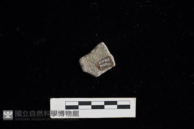 陶片藏品圖，第2張