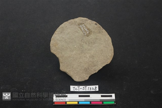石片器藏品圖，第2張