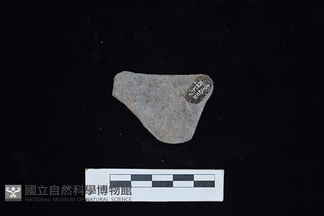 陶片藏品圖，第2張