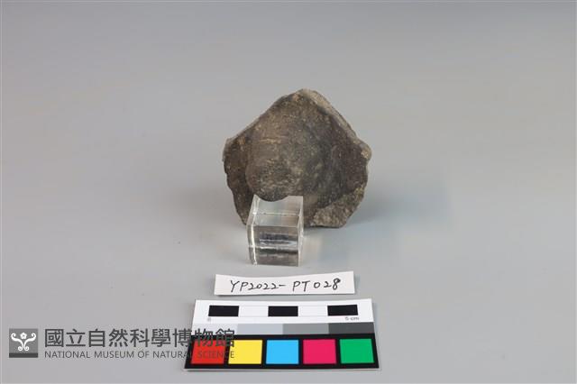 碗/淺盤型陶蓋藏品圖，第2張