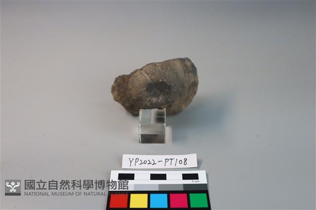 碗/淺盤型陶蓋藏品圖，第2張