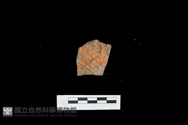 陶片藏品圖，第2張