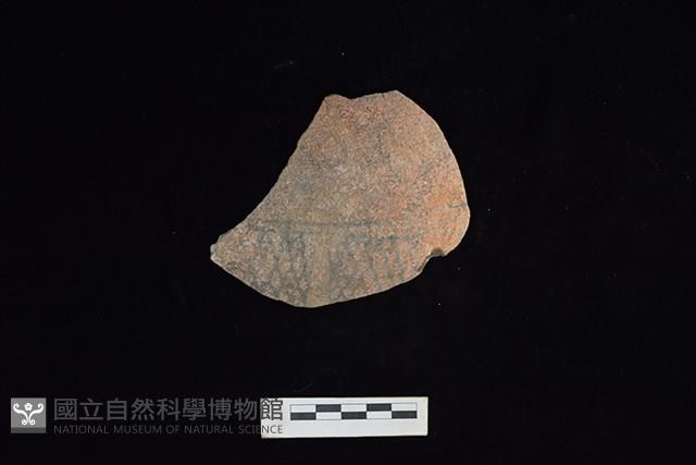 陶片藏品圖，第2張