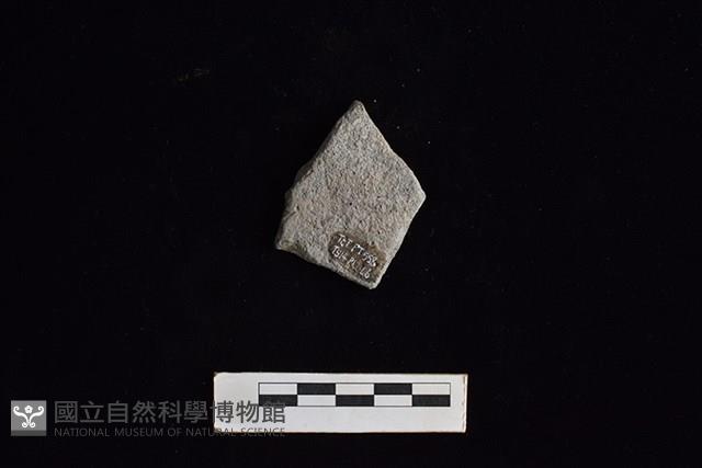 陶片藏品圖，第2張