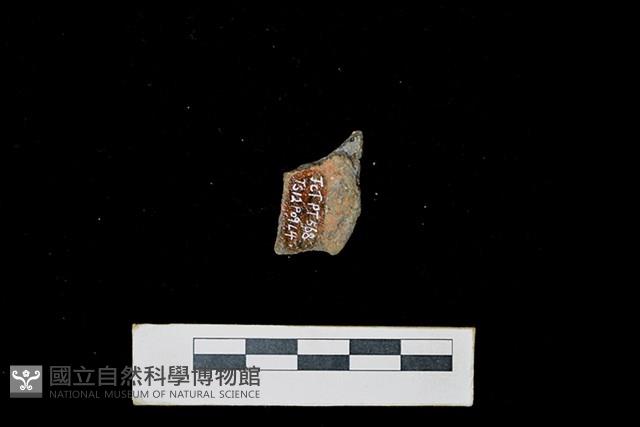 陶片藏品圖，第2張