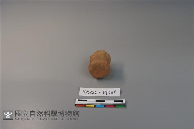 陶鈕藏品圖，第2張