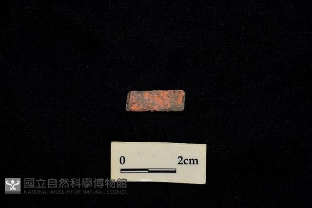 陶環藏品圖，第2張