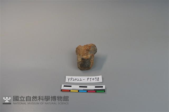 陶鈕藏品圖，第2張
